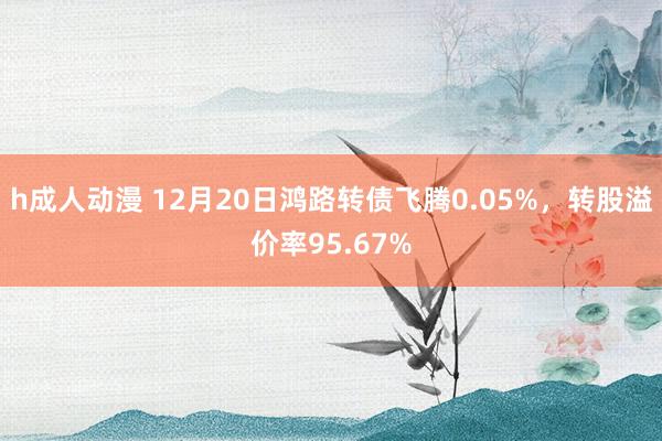 h成人动漫 12月20日鸿路转债飞腾0.05%，转股溢价率95.67%