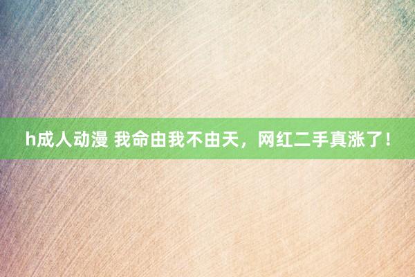 h成人动漫 我命由我不由天，网红二手真涨了！