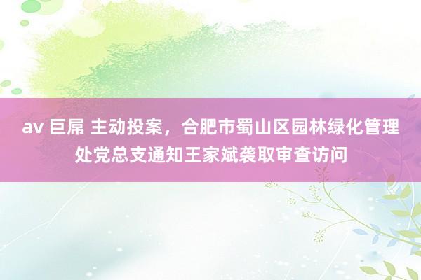 av 巨屌 主动投案，合肥市蜀山区园林绿化管理处党总支通知王家斌袭取审查访问