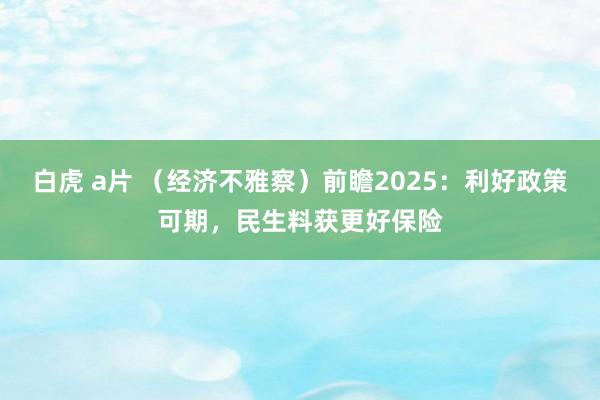 白虎 a片 （经济不雅察）前瞻2025：利好政策可期，民生料获更好保险