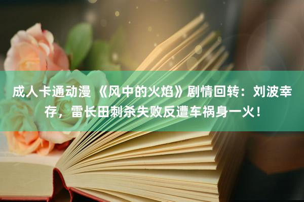 成人卡通动漫 《风中的火焰》剧情回转：刘波幸存，雷长田刺杀失败反遭车祸身一火！