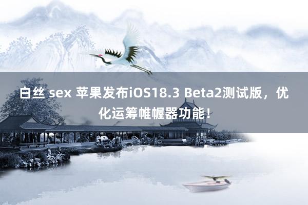 白丝 sex 苹果发布iOS18.3 Beta2测试版，优化运筹帷幄器功能！