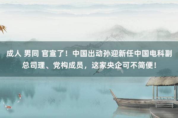 成人 男同 官宣了！中国出动孙迎新任中国电科副总司理、党构成员，这家央企可不简便！