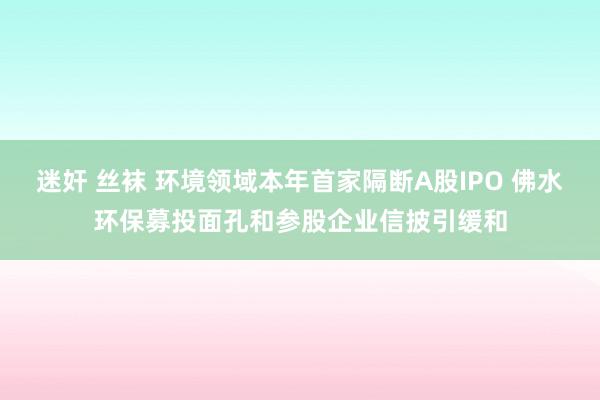 迷奸 丝袜 环境领域本年首家隔断A股IPO 佛水环保募投面孔和参股企业信披引缓和