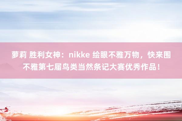 萝莉 胜利女神：nikke 绘眼不雅万物，快来围不雅第七届鸟类当然条记大赛优秀作品！