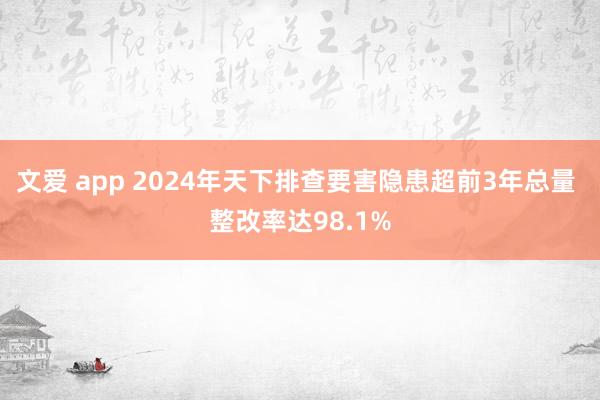 文爱 app 2024年天下排查要害隐患超前3年总量 整改率达98.1%